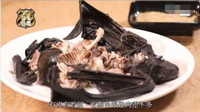 tvb主持人旅游节目中吃蝙蝠,电视台遭观众举报