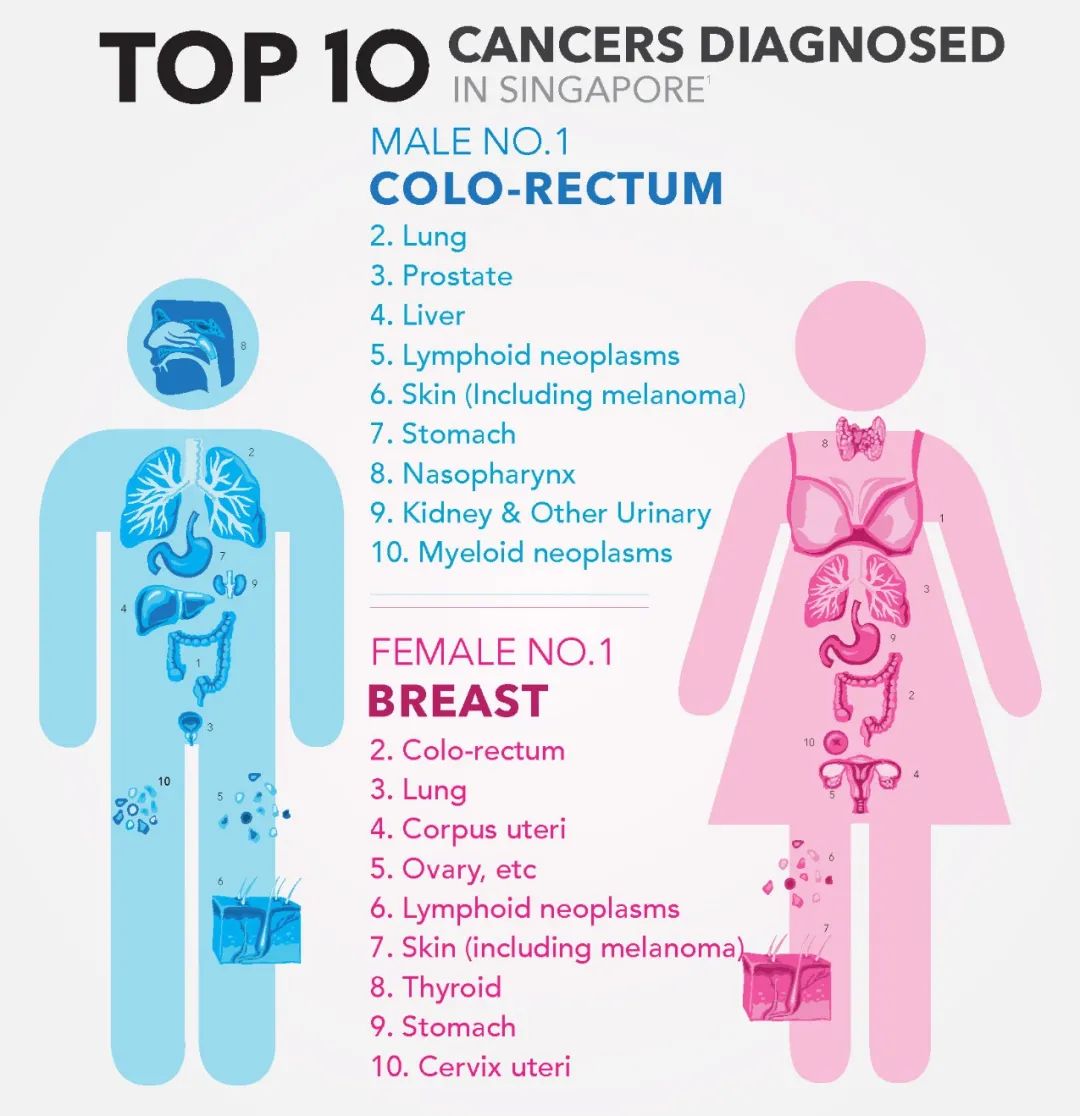 4% 子宫癌(corpus uteri) 卵巢癌及其他(ovary etc) 淋巴癌(lymphoid