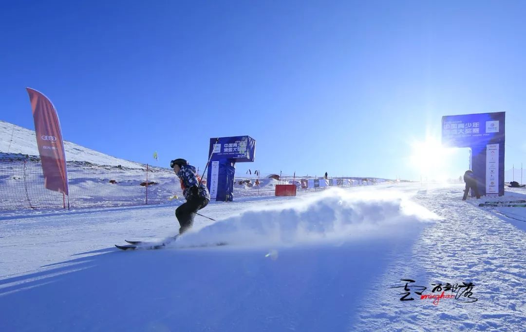 疫情无情,雪有情 