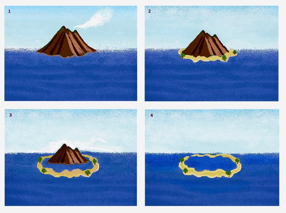 達爾文沉降說示意圖:1～4分別為火山島,裙礁,堡礁,環礁 | lilys