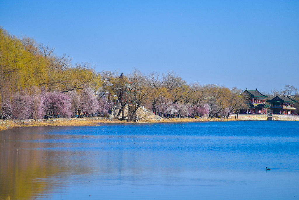 北京早春三月山桃开02颐和园西堤春晓春景迷人
