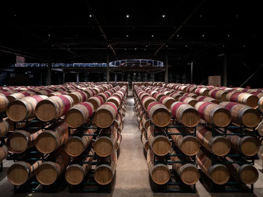 两会时间人民代表报关注西鸽酒庄她代表宁夏传递了怎样的声音