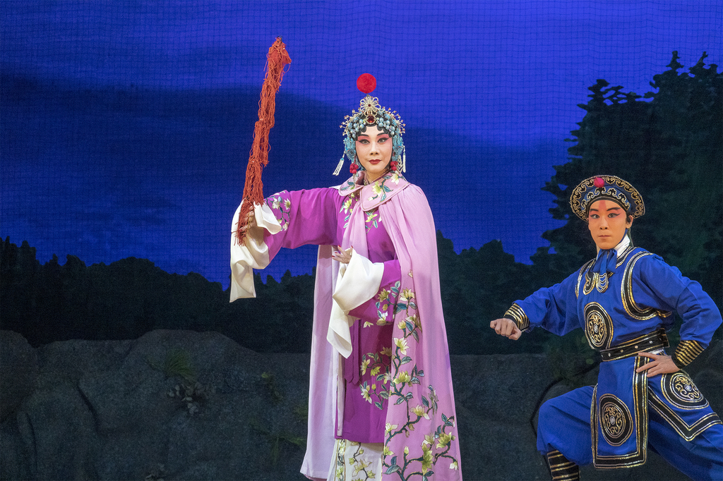 观戏记录——京剧"安国夫人"