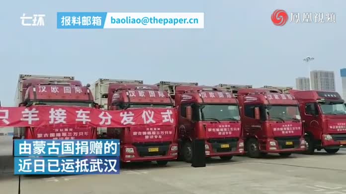 “接回”蒙古国捐赠羊的武汉司机：完成任务倍感荣幸