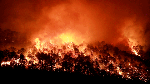 火星从四面八方吹来树在你身边炸开丽江消防员灭火真实纪录