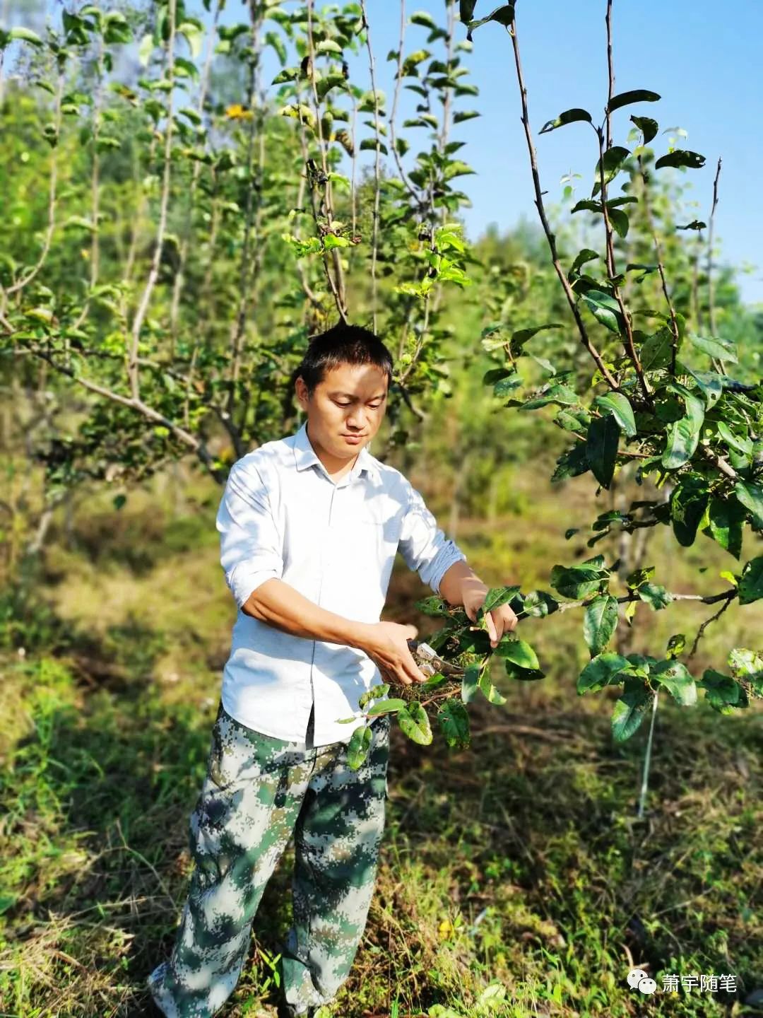 新农民是怎样的?莲花这位80后小伙告诉你