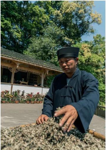 秘而不宣的青城药功派