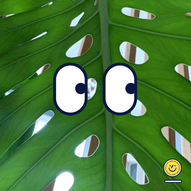 这几天朋友圈成了座云公园才发现其实是人类需要自然的治愈