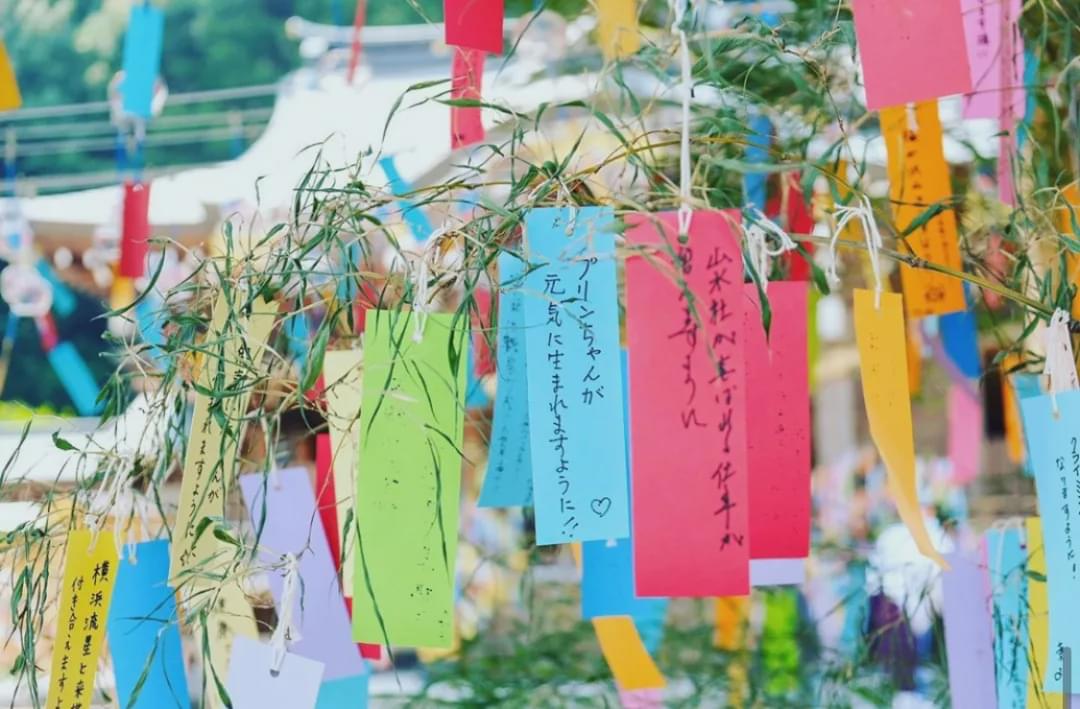 七夕许愿竹 在七夕这一天,日本女性会把自己的愿望写在短册(たんざく)