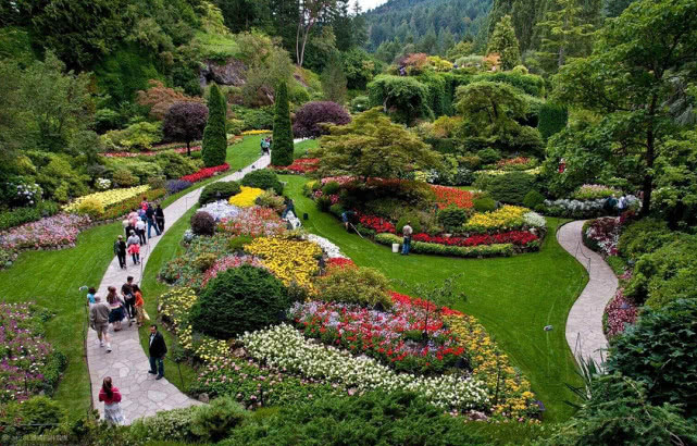 园林设计中应用景观花卉的4种形式分析建科园林景观