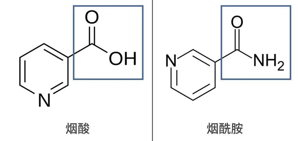 对于烟酰胺的护肤误区__凤凰网