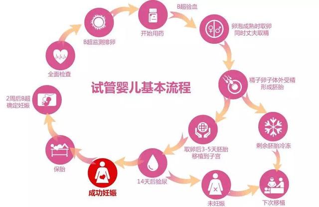 成都试管婴儿机构（滔滔顾问，俄罗斯试管婴儿的详细过程是怎样的，6个步骤解释清楚）