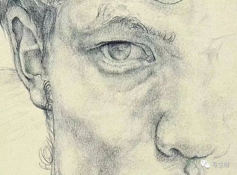 朝戈素描本身的朴素和直接令人神往