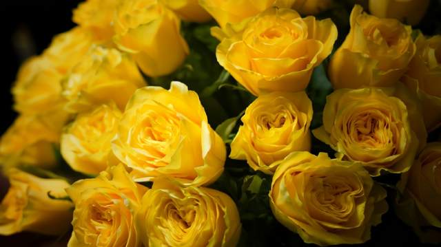 4CA27270928A8921FF11914A67205B42E3676955_size27_w640_h359.jpeg