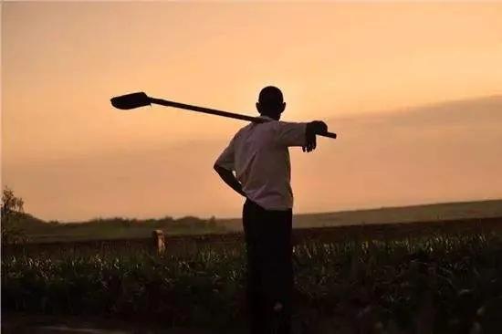 读睡每日好诗《父亲的背影》__凤凰网