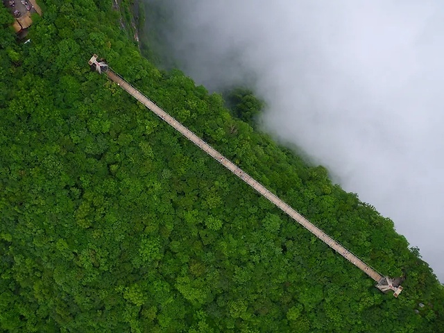 張家界官黎坪:仙凡之界 醉賞春景