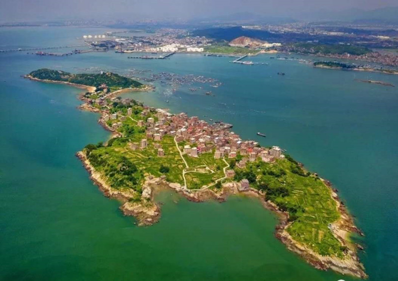 求"鲍"走 30万斤惠屿岛鲍鱼待售 __凤凰网