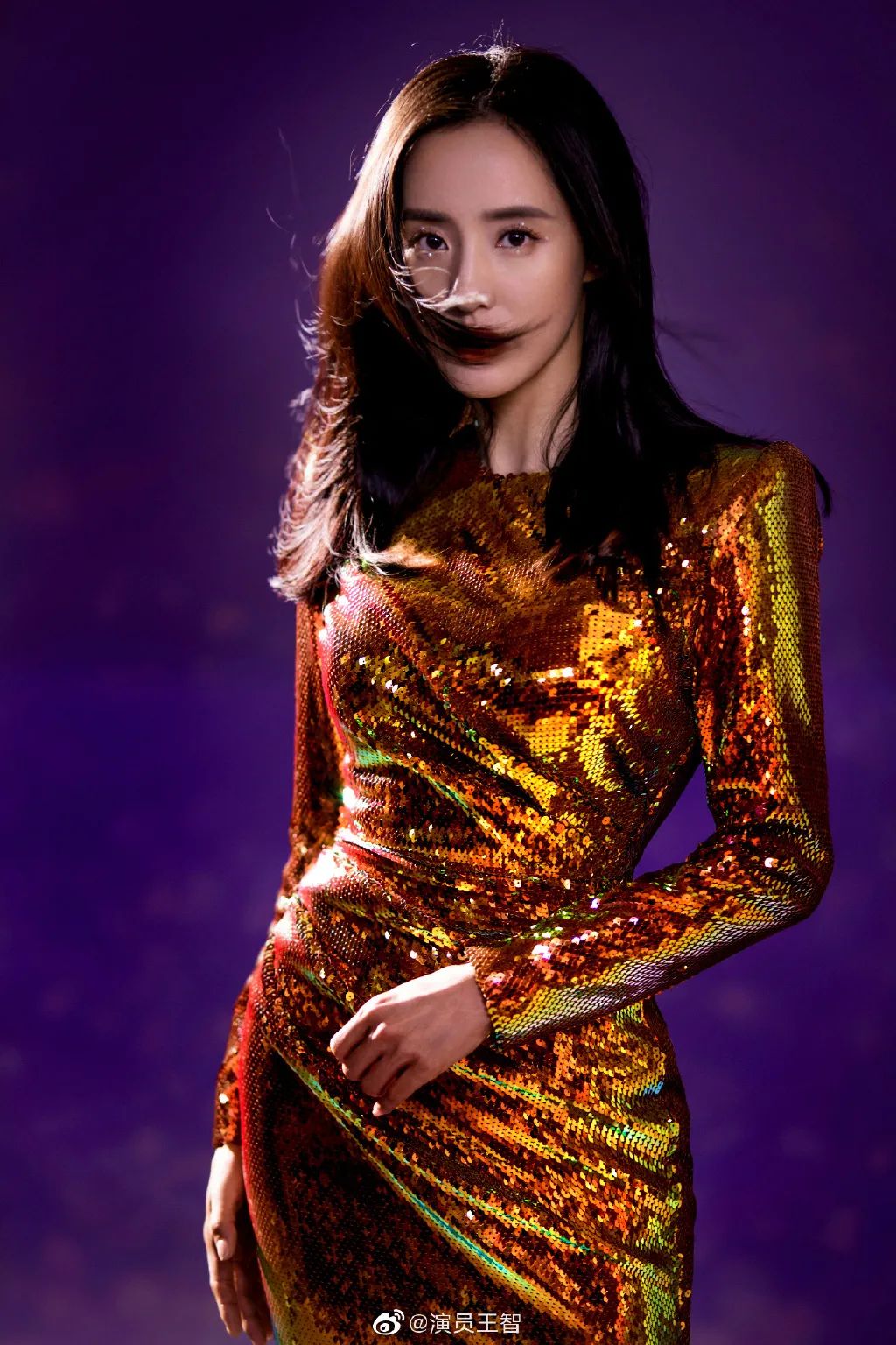 提问:王智姐姐到底收藏了多少条亮片裙?