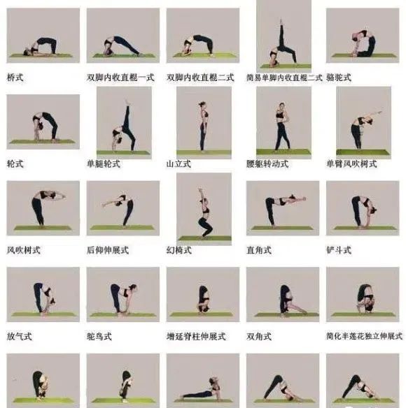 瑜伽24式动作图解图片