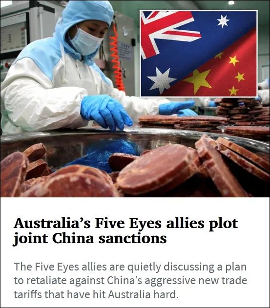 澳大利亚新闻集团旗下《先驱太阳报》截图