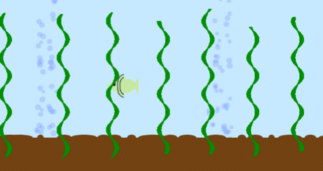 cs00a hypnotizing rainbow spiral using processing with java