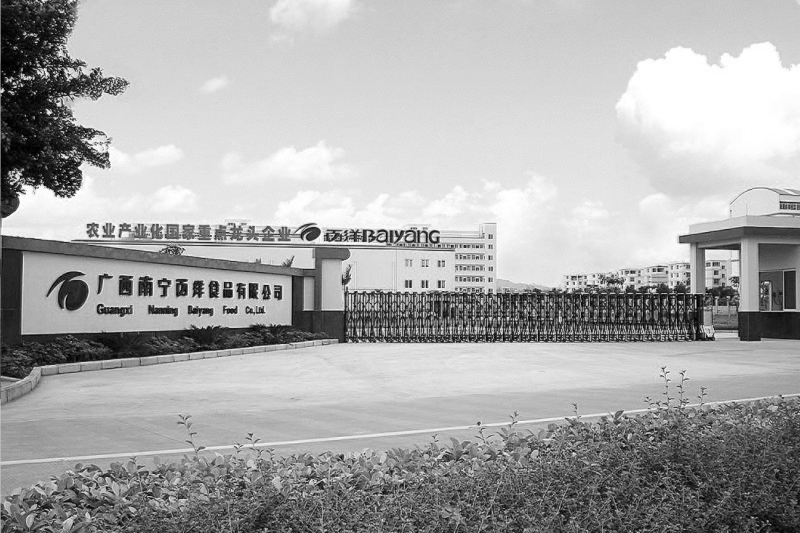 转型失败把自己卖了百洋股份跨界布局教育触礁