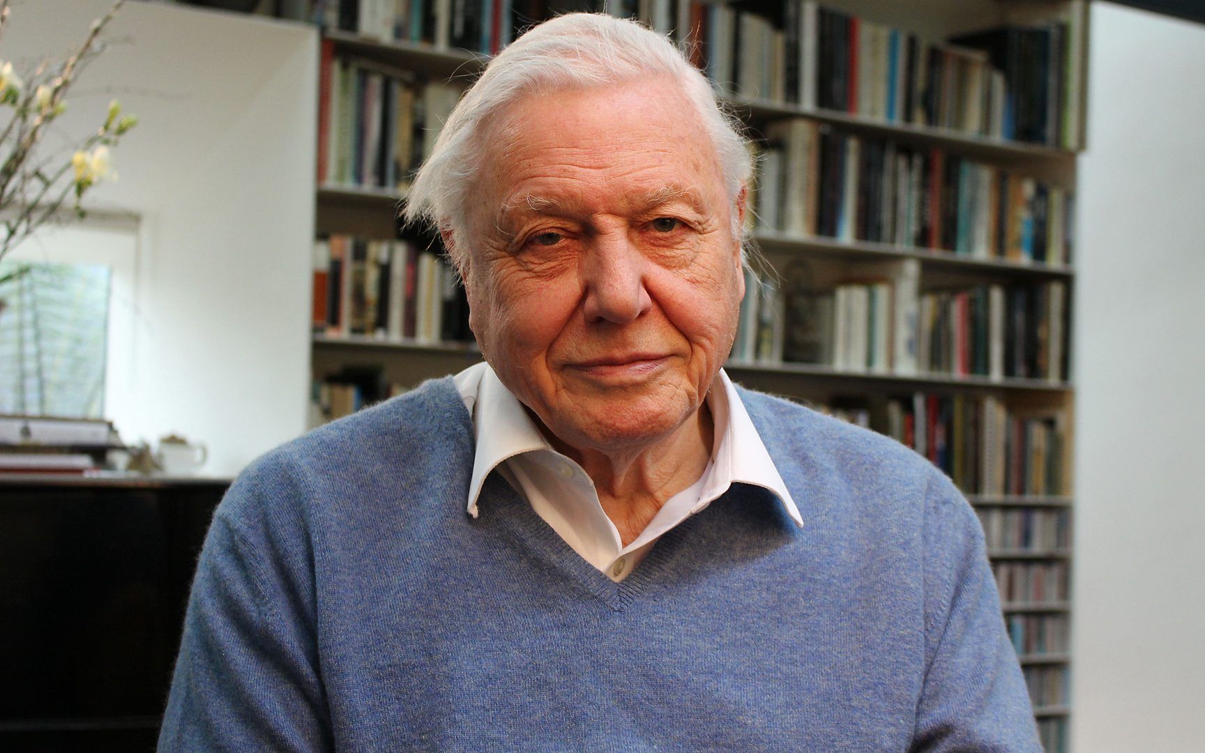 英国世纪悬案bbc纪录片之父家中建房意外破解130年前的谜团