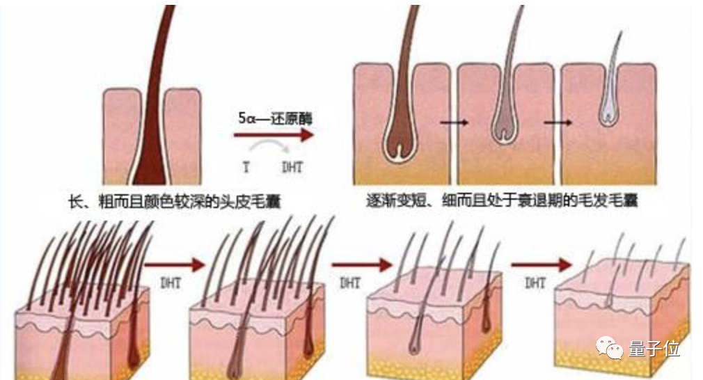 微信图片_20201122195433.png