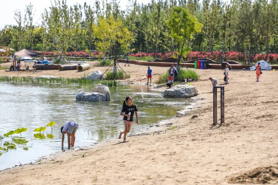 比奥森大6倍朝阳新晋绿肺公园景美人少堪称洗肺天堂关键还免费