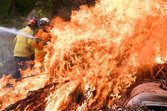 世界首富贝佐斯承诺为澳大利亚森林火灾捐赠百万澳元