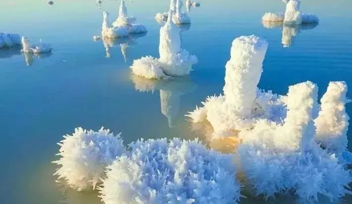 新疆盐湖“开花”,或许是你从未见过的美景。_凤凰网