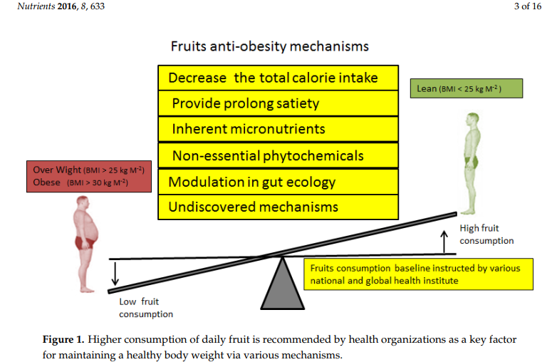 西瓜、荔枝、榴莲……到底是减肥佳品还是增肥利器?插图33 西瓜、荔枝、榴莲……到底是减肥佳品还是增肥利器?