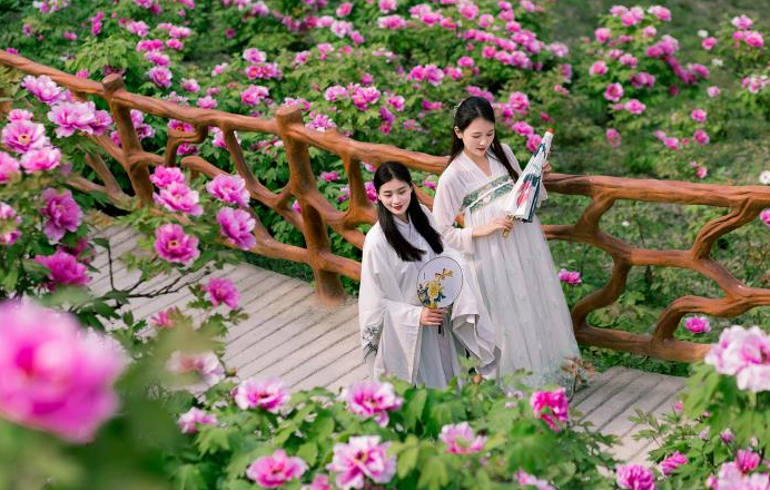 重庆又添4a级景区!2万亩牡丹花开成海,汉服 赏花,开启最佳春游季