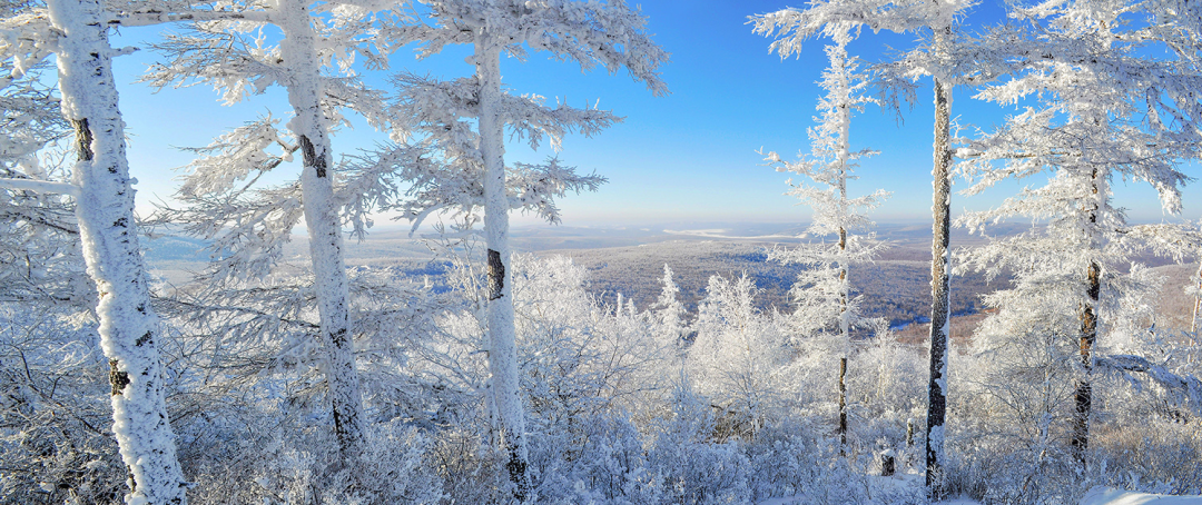 呼伦贝尔四大冰雪旅游特色线路新鲜出炉！