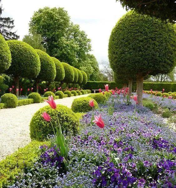 6个方法搭配庭院花草,每天都像在仙境