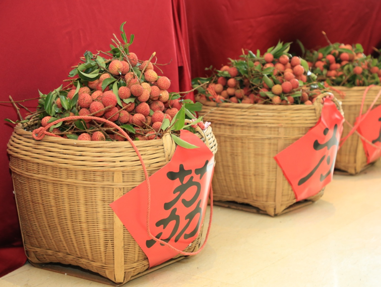 增城荔枝红了红安以红为魂