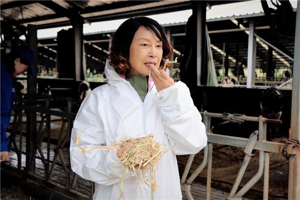 深入牧场一线新希望集团联合创始人李巍走访牛奶鲜之源