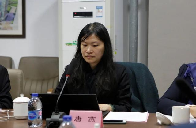 随后,由课题组负责人清华大学建筑学院城市规划系唐燕教授介绍了今