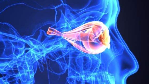 脊髓炎的病因是什么 上海健桥医院专家为您详细解答 凤凰网