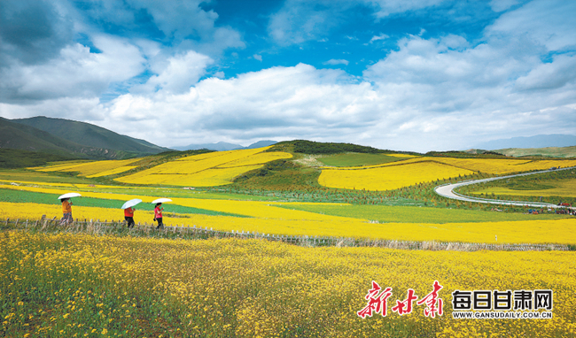 古浪县:绘就美丽乡村新画卷