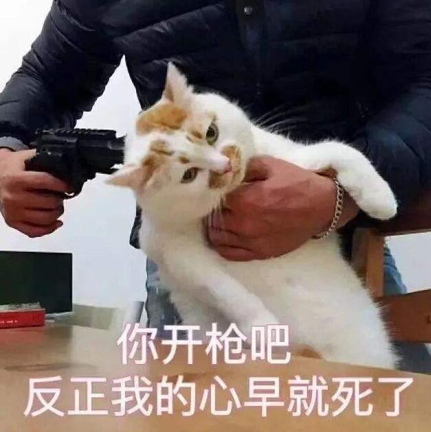 苏宁领导大笔一挥就是一个亿为了818这么拼真的好吗