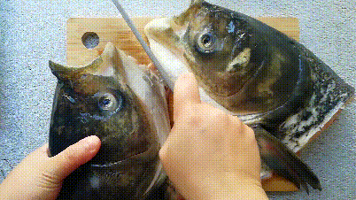 极具视觉冲击力的剁椒鱼头,咸辣鲜香,让嗜辣星人直呼过瘾!__凤凰网