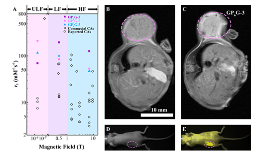 上海微系统所在高性能磁共振造影剂方面取得重要进展__凤凰网