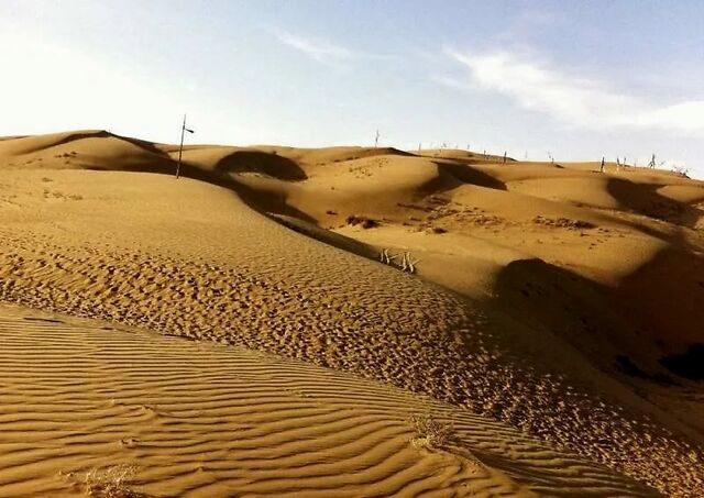 绿了中国最大沙漠,干掉了第四大沙漠,中国人正在逆天改命啊