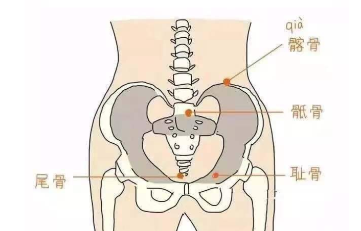 孕妇骨盆痛的位置图片图片