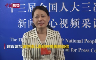 全国人大代表方燕：建议增加被性侵儿童精神损害赔偿