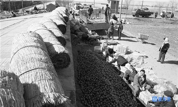 老照片中的东营故事15