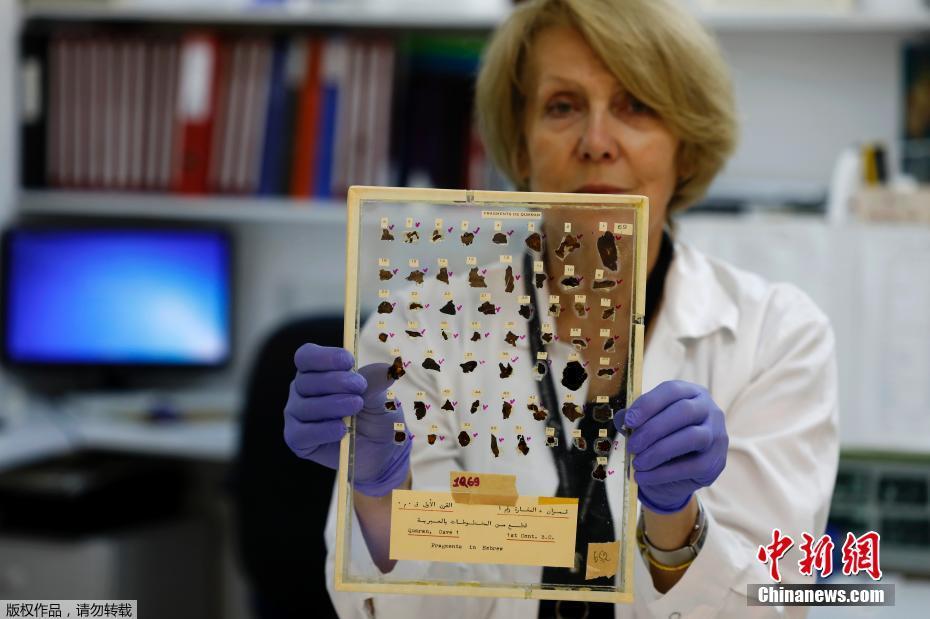 当地时间2020年6月2日,耶路撒冷,死海古卷实验室的工作人员在以色列文物局(IAA)查看基因取样片段。一项最新研究表明,从死海古卷(Dead Sea Scrolls)中提取的古代动物 DNA,或许能成为科学家解开犹大沙漠碎片谜题的钥匙。科学家希望通过这种新颖的方法产生一个死海古卷的“基因组”,从而帮助学者们解码这些神秘的文物。