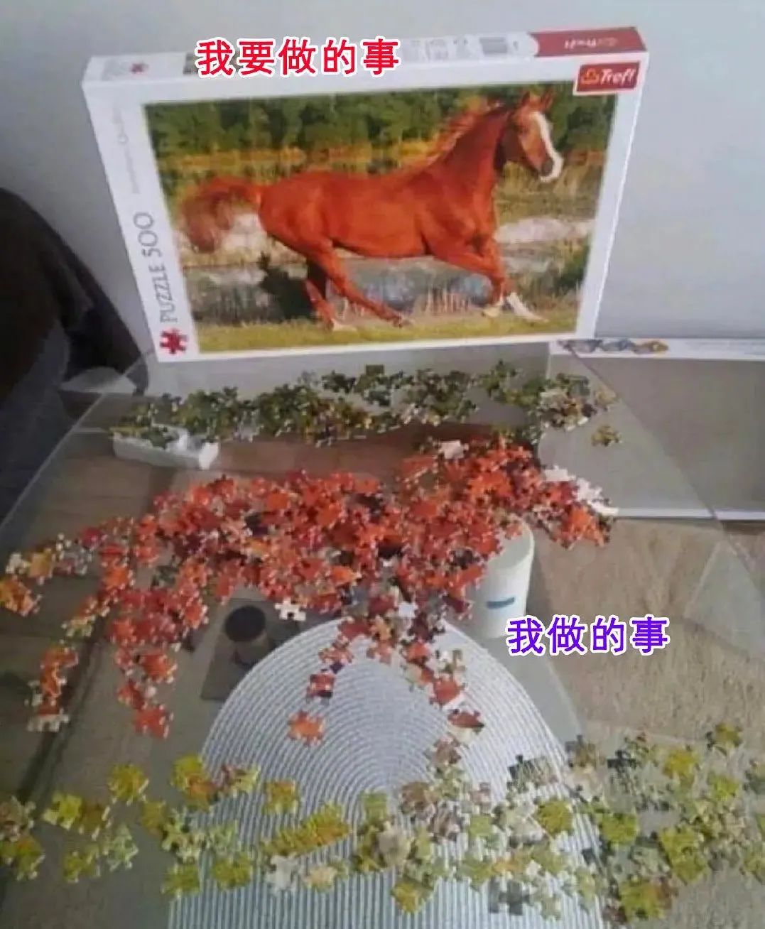 文化读书 凤凰网