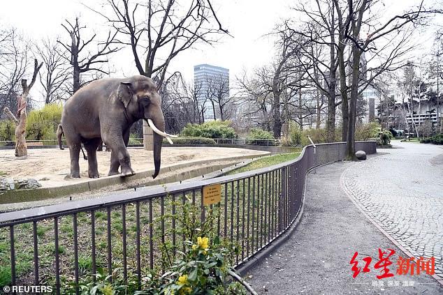 美泉宮動物園是維也納最吸引遊人的勝地之一.